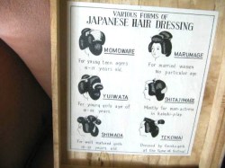 gofun japan 5_05